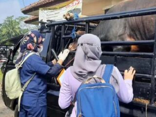 Deteksi Dini PMK, DPKPP Kab Tasikmalaya Sisir Pasar Hewan