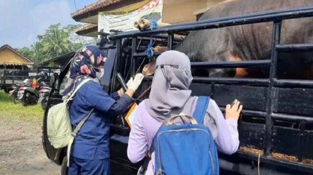 Deteksi Dini PMK, DPKPP Kab Tasikmalaya Sisir Pasar Hewan