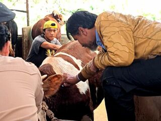 Tim Medis Bidang Peternakan DKP3 Kota Tasikmalaya melakukan vaksinasi ratusan ekor sapi di Kelurahan Sukalaksana, Kecamatan Bungursari pada Selasa 18 Februari 2025.